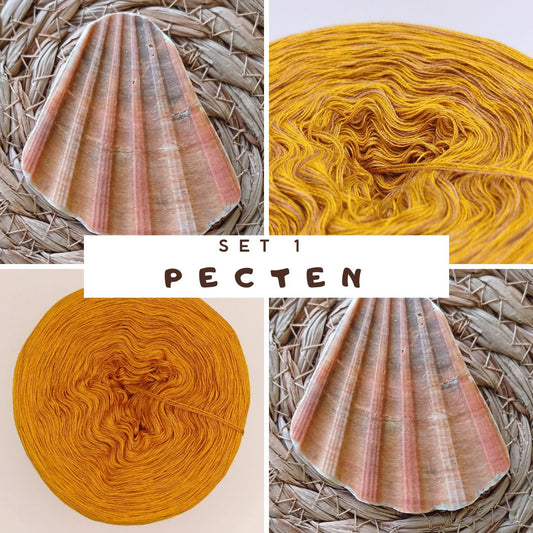 CAL Häkelschrift lernen + Tunika "Muschelsammlerin" häkeln Set 1 (Pecten)