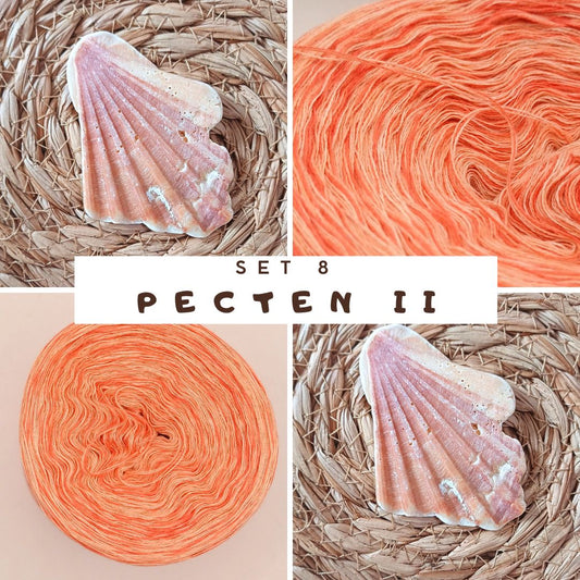 CAL Häkelschrift lernen + Tunika "Muschelsammlerin" häkeln Set 8 (Pecten II)
