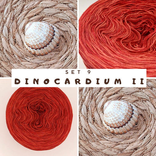 CAL Häkelschrift lernen + Tunika "Muschelsammlerin" häkeln Set 9 (Dinocardium II)