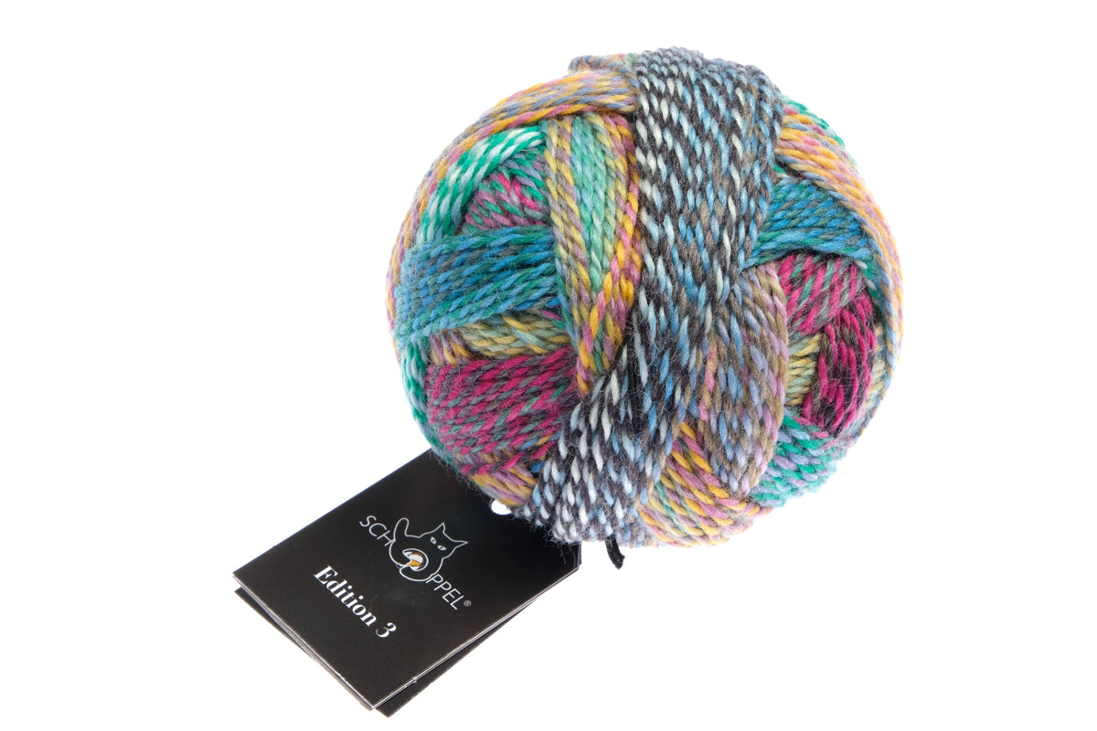 Lieblings-Socken stricken Garn, incl. Strickanleitung