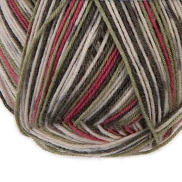 Atelier Zitron Trekking (XXL) Color, 4-fach (Farbe 761)