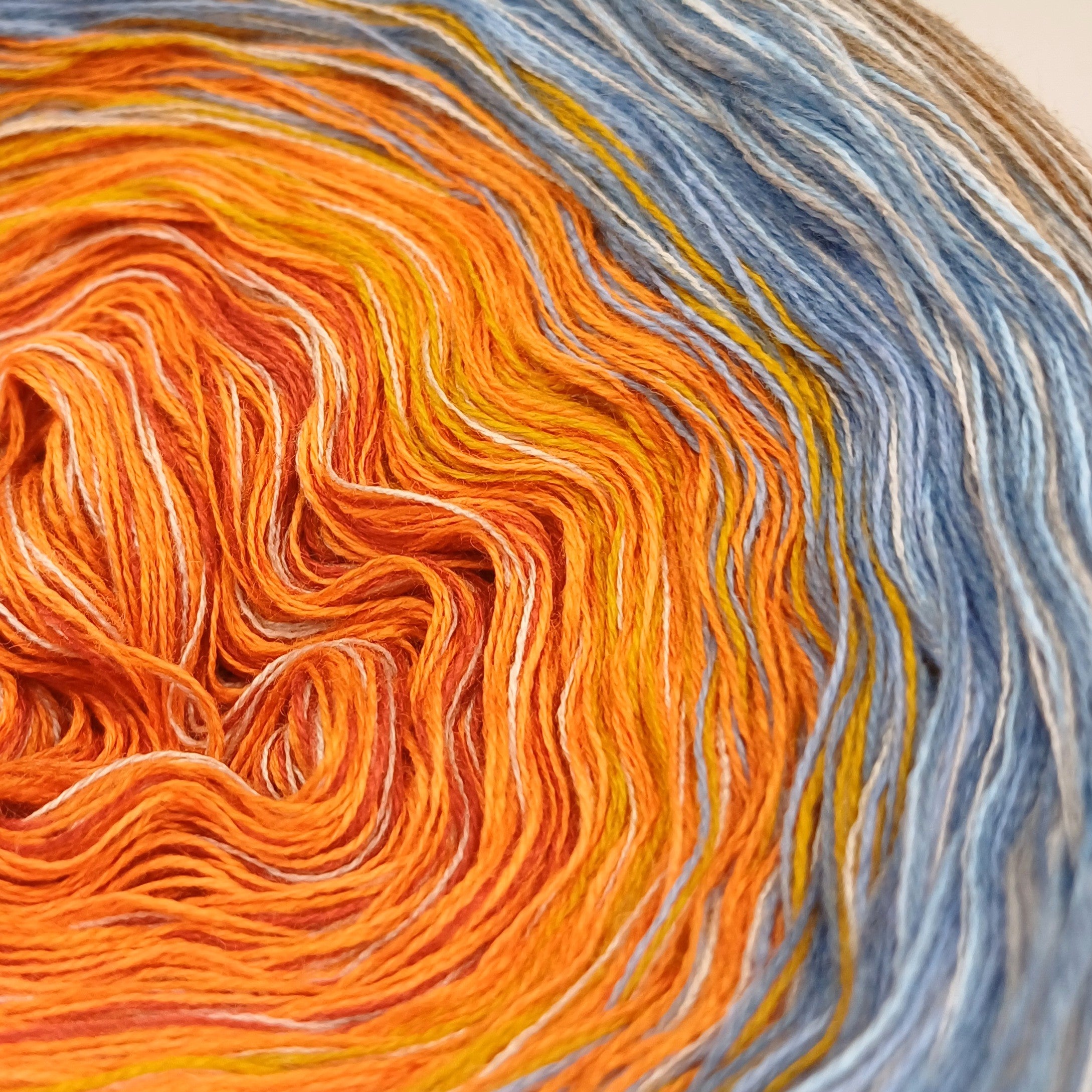 Singvogel Rotkehlchen