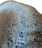 Das Wintertuch stricken - halbrundes Tuch mit Shetland-Lacemuster