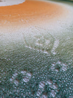 Das Wintertuch stricken - halbrundes Tuch mit Shetland-Lacemuster