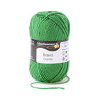 Schachenmayr Bravo Farn Farbe 4 Von der Temperaturdecke 08191