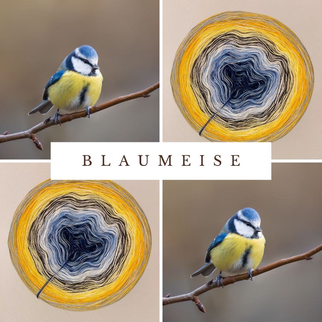 Singvogel Blaumeise