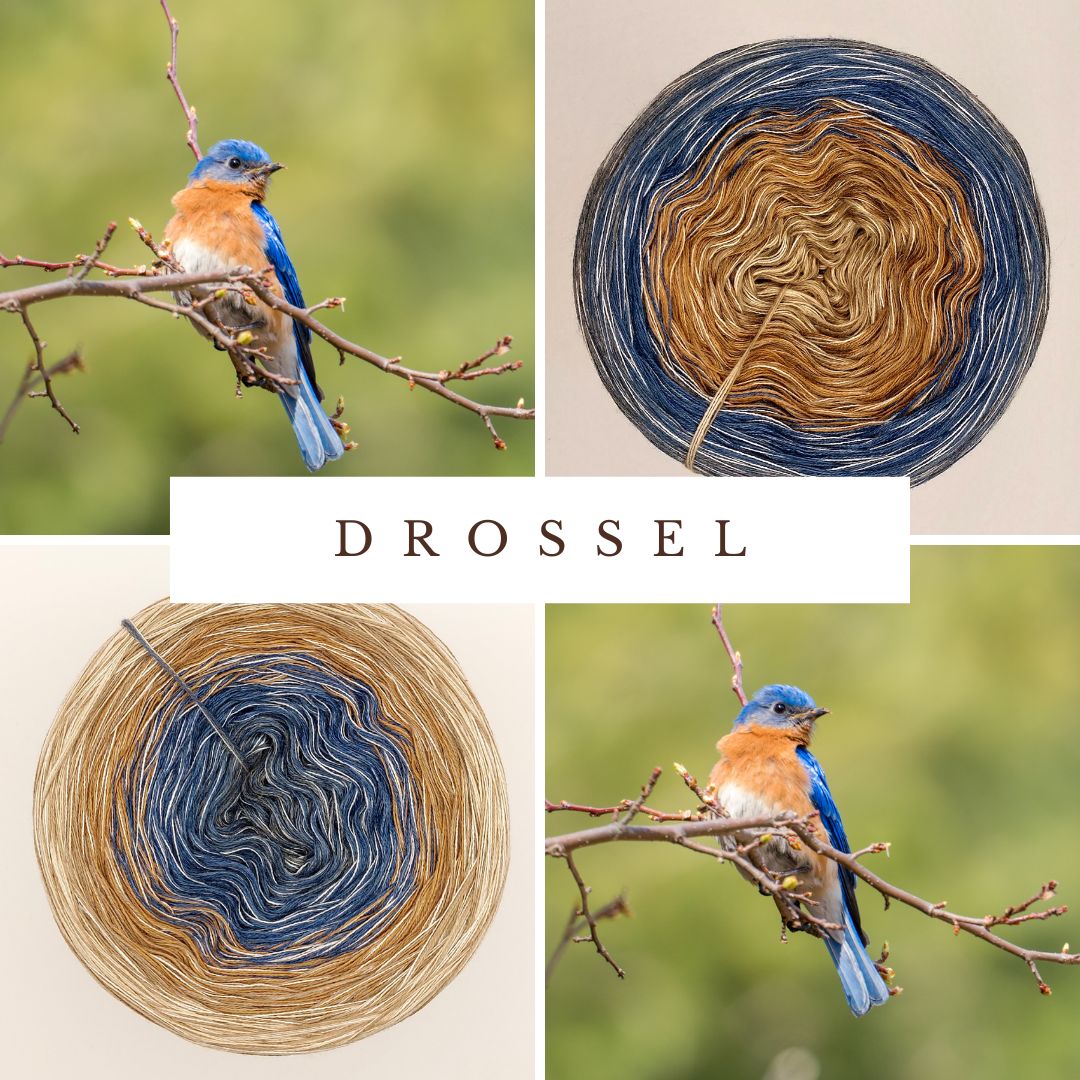 Singvogel Drossel