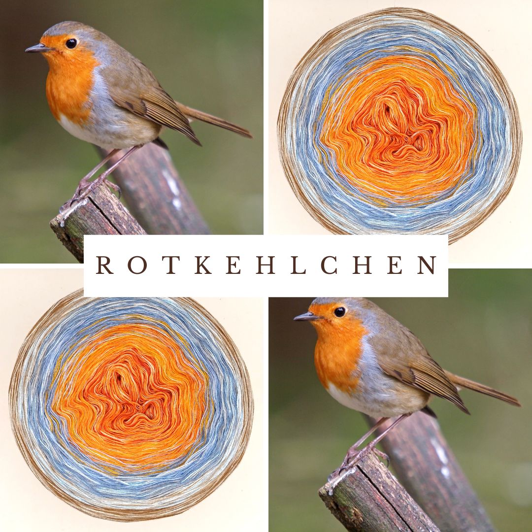 Singvogel Rotkehlchen