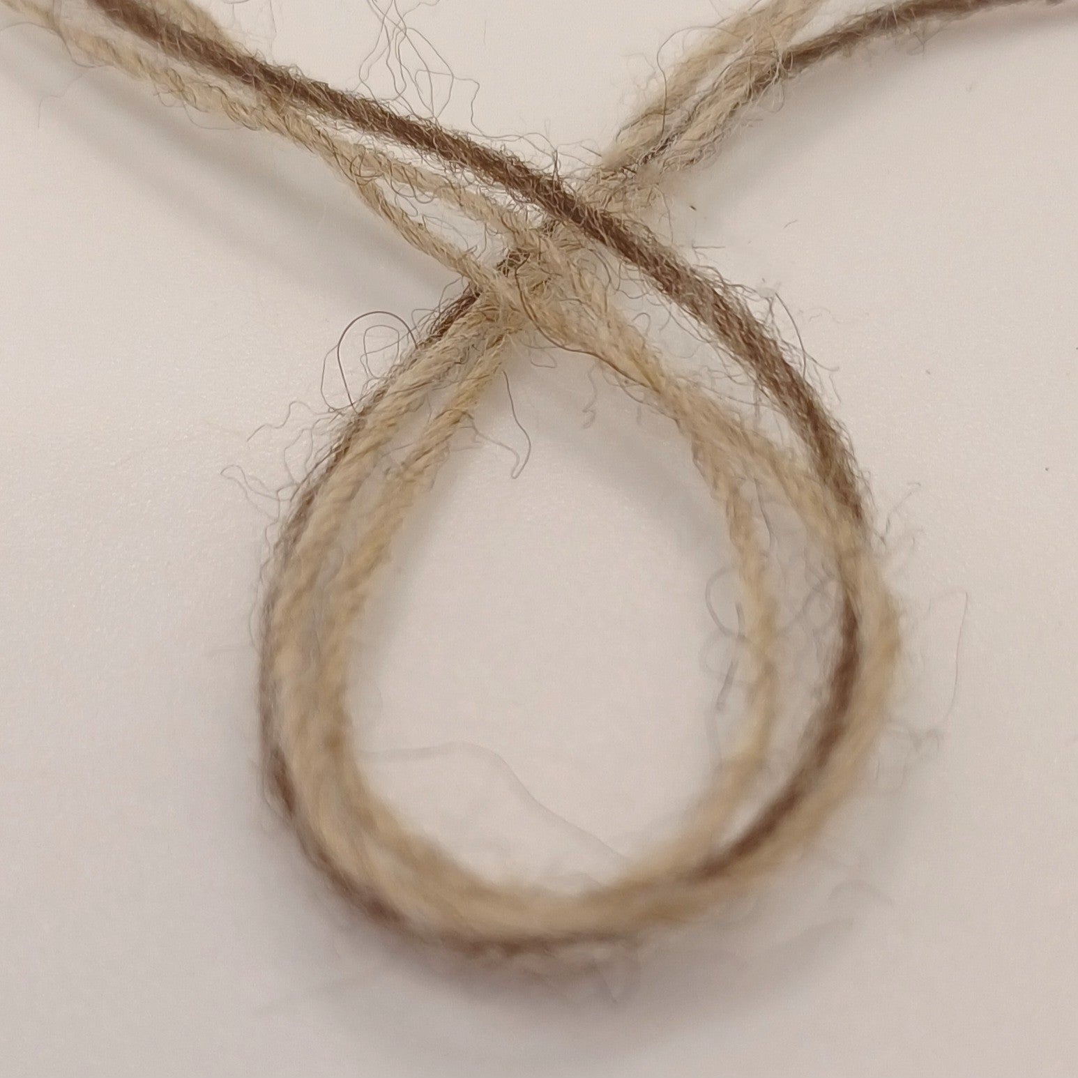 Dreams mit Alpaka Pralinchen (D14)