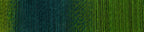 Schoppel Lace Ball 100 pro Evergreen 2168