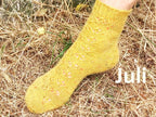 Sockenjahr 2026 - 12 Sockendesigns mit Fixen Quicky Ferse & Two Way Socke
