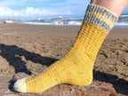 Sockenjahr 2026 – April Socke „Pelikular"