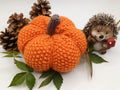 Strickanleitung Kürbis Herbstdeko - Halloween