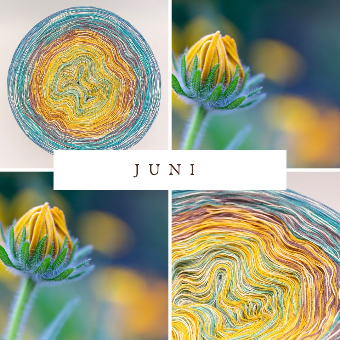 Monats-Bobbel Juni 2025 - 4-fädig