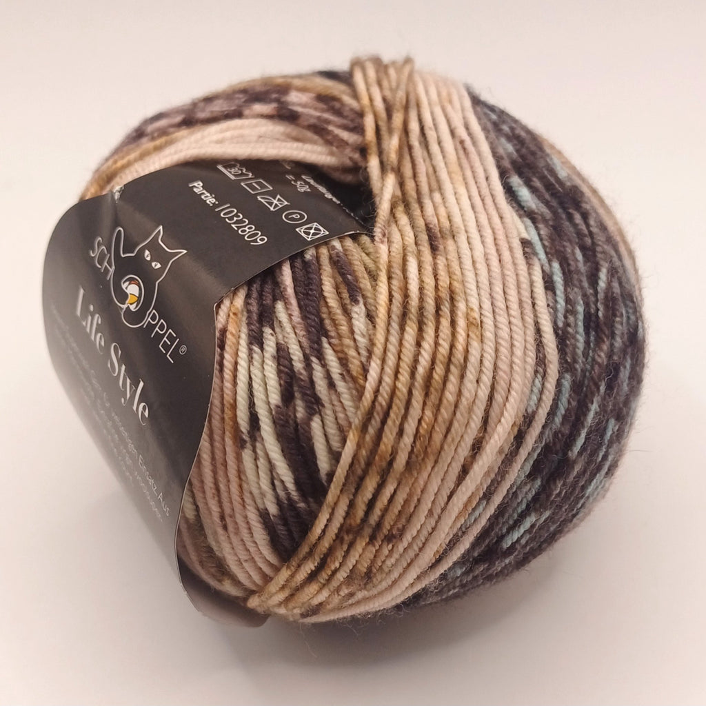 Schoppel Wolle Live Style Magic- Mint-Grau- 1864magic