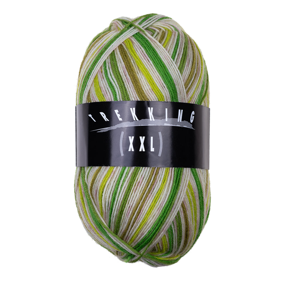 Atelier Zitron Trekking (XXL) Color, 4-fach, Fb. 728