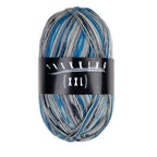 Atelier Zitron Trekking (XXL) Color, 4-fach, Fb. 824