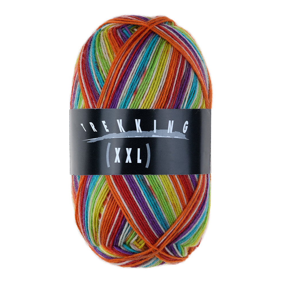 Atelier Zitron Trekking (XXL) Color, 4-fach, Fb. 829