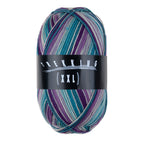 Atelier Zitron Trekking (XXL) Color, 4-fach, Fb. 830