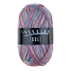 Atelier Zitron Trekking (XXL) Color, 4-fach, Fb. 828