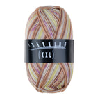 Atelier Zitron Trekking (XXL) Color, 4-fach, Fb. 826
