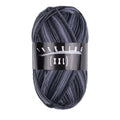 Atelier Zitron Trekking (XXL) Color, 4-fach, Fb. 730