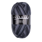 Atelier Zitron Trekking (XXL) Color, 4-fach, Fb. 730