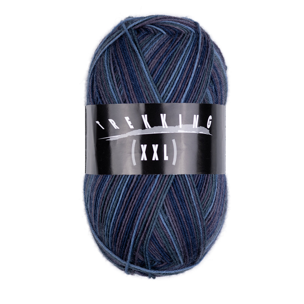 Atelier Zitron Trekking (XXL) Color, 4-fach, Fb. 731
