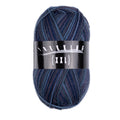 Atelier Zitron Trekking (XXL) Color, 4-fach, Fb. 731
