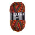 Atelier Zitron Trekking (XXL) Color, 4-fach, Fb. 753