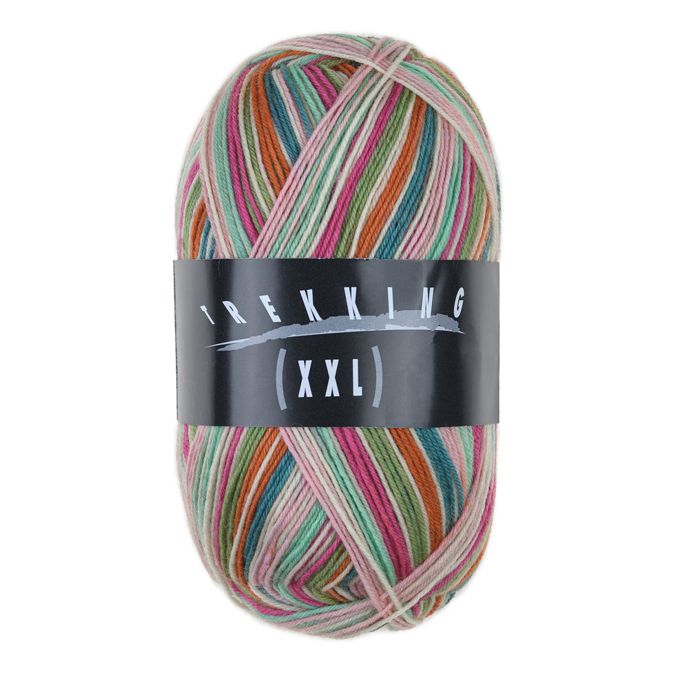 Atelier Zitron Trekking (XXL) Color, 4-fach, Fb. 831