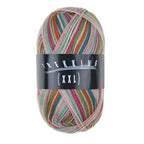 Atelier Zitron Trekking (XXL) Color, 4-fach, Fb. 831