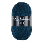 Atelier Zitron Trekking (XXL) Color, 4-fach, Fb. 822