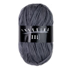 Atelier Zitron Trekking (XXL) Color, 4-fach, Fb. 801