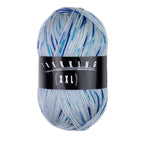 Atelier Zitron Trekking (XXL) Color, 4-fach, Fb. 803