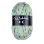 Atelier Zitron Trekking (XXL) Color, 4-fach, Fb. 806