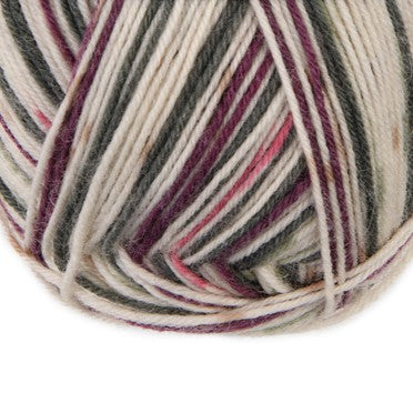 Atelier Zitron Trekking (XXL) Color, 4-fach (Farbe 760)