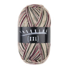 Atelier Zitron Trekking (XXL) Color, 4-fach, Fb. 760