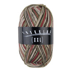 Atelier Zitron Trekking (XXL) Color, 4-fach, Fb. 761