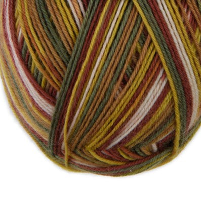 Atelier Zitron Trekking (XXL) Color, 4-fach (Farbe 762)