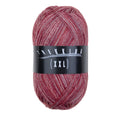 Atelier Zitron Trekking (XXL) Color, 4-fach, Fb. 798