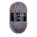 Atelier Zitron Trekking (XXL) Color, 4-fach, Fb. 796