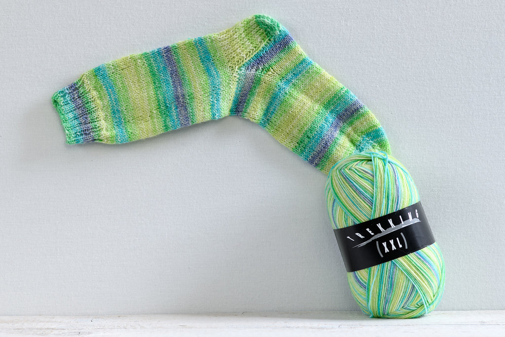 Atelier Zitron Trekking (XXL) Color, 4-fach, Fb. 814